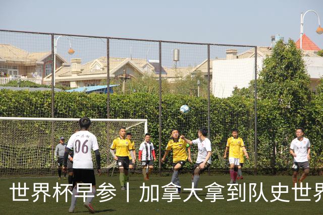 世界杯早参丨加拿大拿到队史世界杯首个积分 开幕式表演翻车大力神杯瘪了 加纳一球员涉嫌强奸被拒绝入境无缘首战