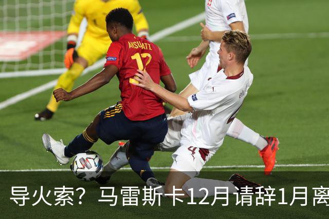 导火索？马雷斯卡12月请辞1月离任，蓝军12月仅2胜且最终赛季崩盘
