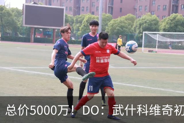 总价5000万！DO：武什科维奇初始转会费4600万镑，热刺有二转分成